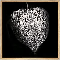 SIGNWIN Framed Canvas Wall Art Black and White Chinese Lantern Flower with Seed Pod Botanical Plants Photography Realism Modern XRay Dramatic for Living Room, Bedroom, Office - 16