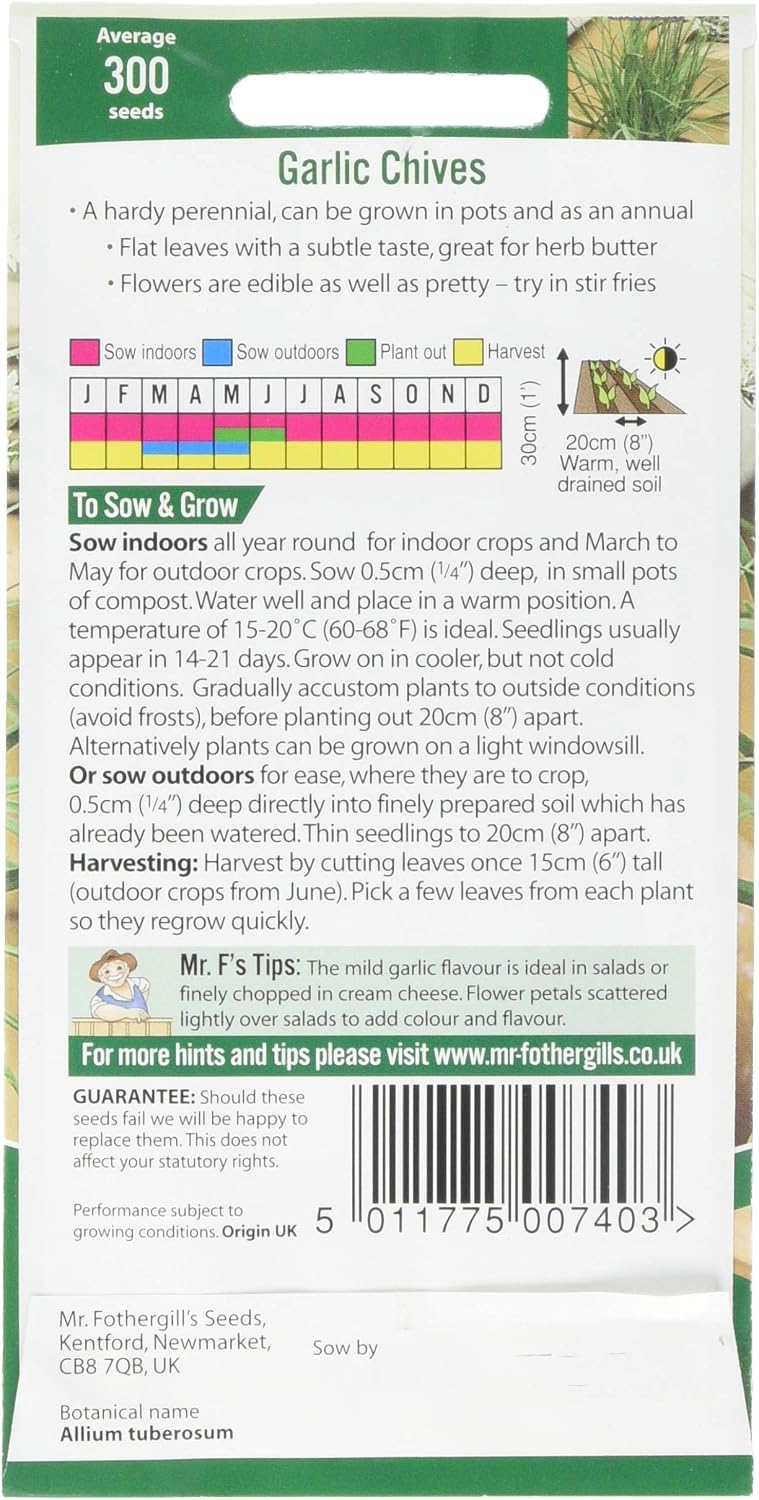 Mr Fothergill's 10464 Herb Seeds, Garlic Chives, Cream, Green - Image 3