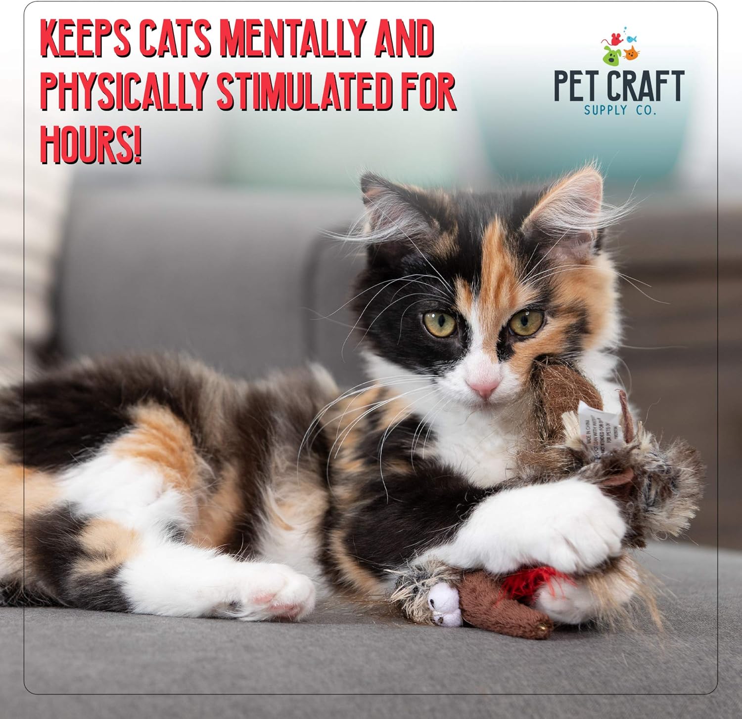Pet Craft Supply Co. Funky Pheasant Crazy Catnip Cuddler Funny Cuddling Chasing Hunting Irresistible Stimulating Soft Plush Boredom Relief Interactive Cat Toy with Realistic Feathers : Pet Supplies