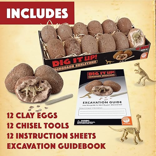 MindWare Dig It Up! Dinosaur Skeleton Eggs Excavation kit Comes