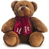 Bear of Allan Teddy Bear Stuffed Animal - Best Wishes Gift, Embroidered Scarf, Super Soft Plush, 10 Inch, Brown