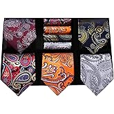 HISDERN Mens Ties Set 5PCS Collection Tie with Pocket Sqaure Formal Business Necktie Present Box Neckties Set for Men