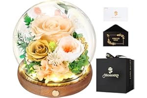 MAMAMIKO Preserved Roses in Glass Dome with LED Light - Long Lasting Real Roses, Forever Flowers for Delivery, Mothers Gifts for Her, Mom, Wife Anniversary Birthday Gifts for Women, Champagne