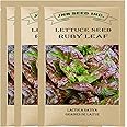 Ruby Leaf Lettuce Seeds for Planting – 3 Packs (4,000+ Seeds) | Heirloom Red Leaf Lettuce | Hydroponic, Indoor & Outdoor Grow