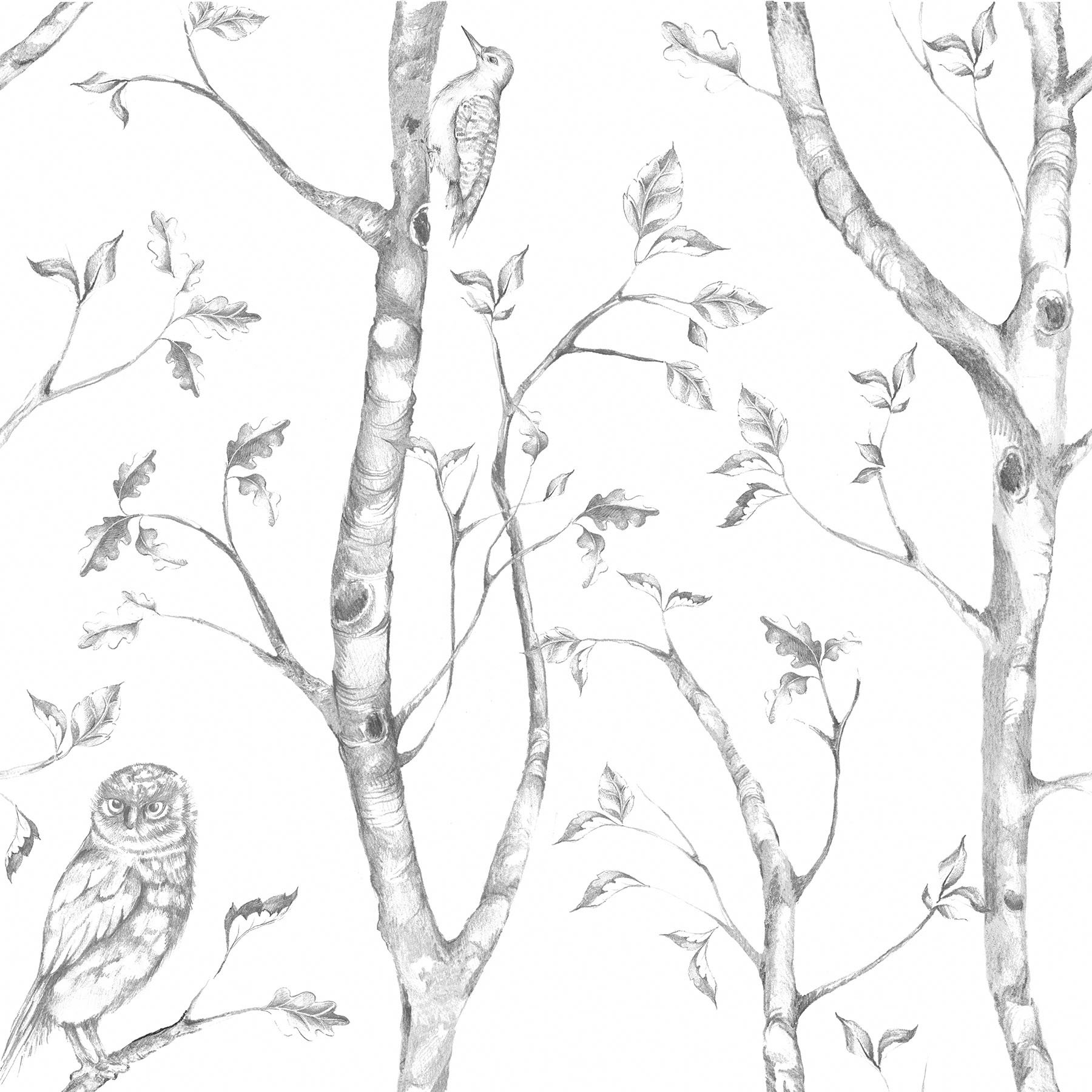 NuWallpaper Gray Woods Peel and Stick Wallpaper, Grey, 20.5 x 216 cm