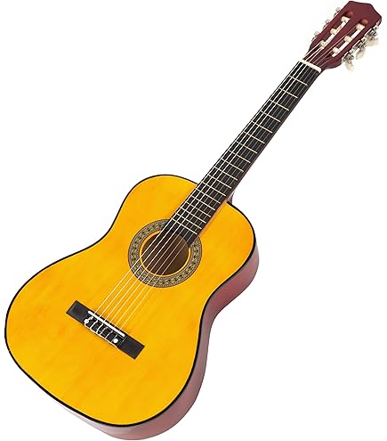 Ashton SL29CEDTB アコースティックギター Amazon.com: Ashton SL29/12CEQ 12-String Electro-Acoustic