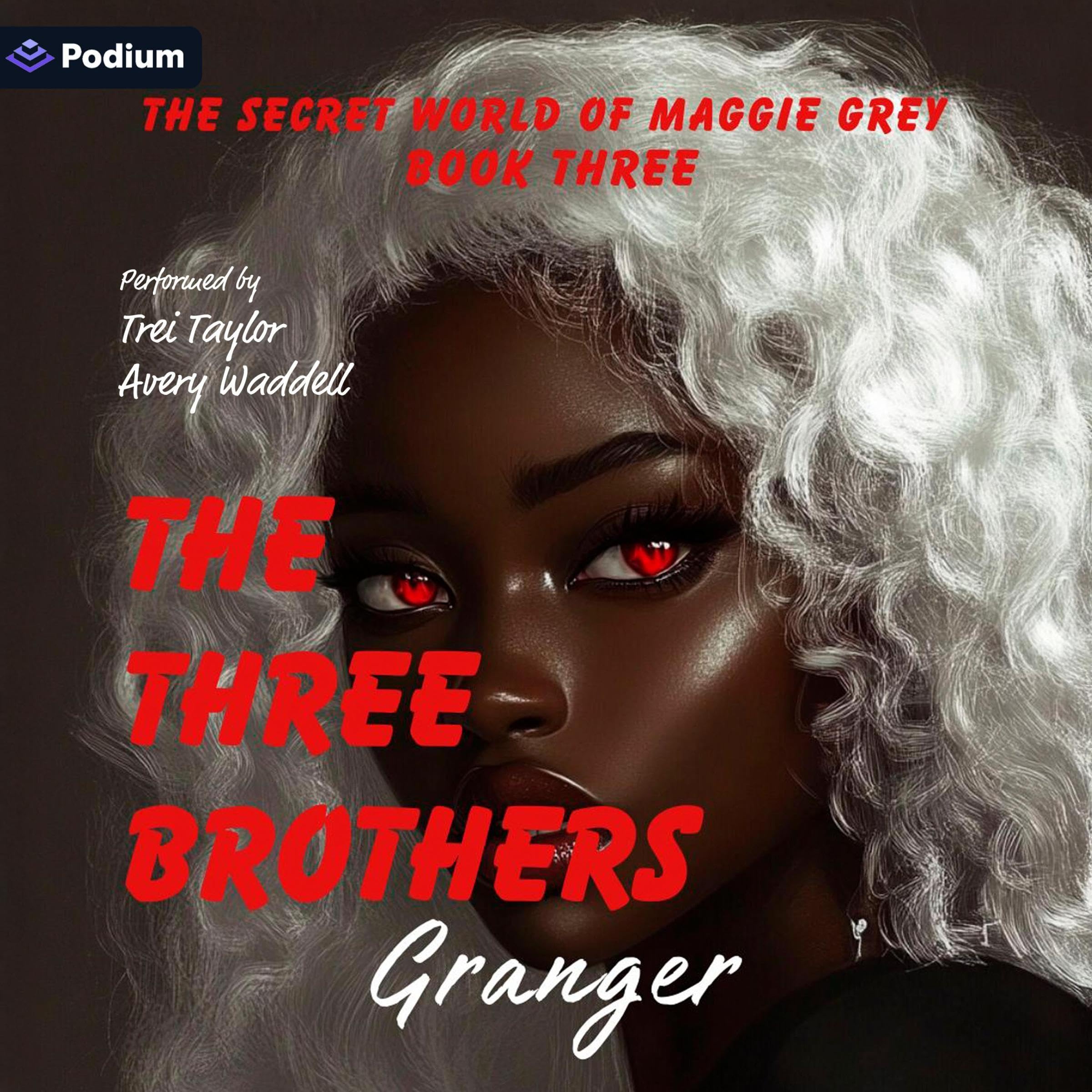 The Three Brothers: The Secret World of Maggie Grey, Book 3 Image