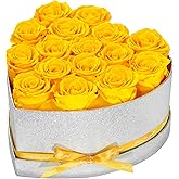 16 Forever Roses in a Box, Preserved Flowers for Delivery, Birthday Gifts for Women Her Mom Wife Girlfriend Grandma on Valentines Mothers Day Christmas Anniversary Yellow Rose
