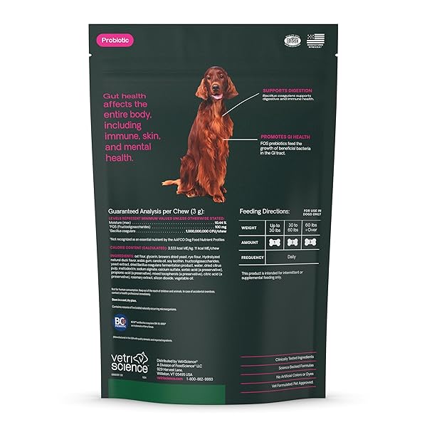 VETRISCIENCE GUT HEALTH CHEWS, PROBIOTIC EVERYDAY DIGESTIVE SUPPLEMENT FOR DOGS, PET PROBIOTICS FOR DIGESTION SUPPORT, GAS AND DIARRHEA, IMMUNE SUPPORT, 1 BILLION CFU PER CHEW, DUCK, 120 COUNT