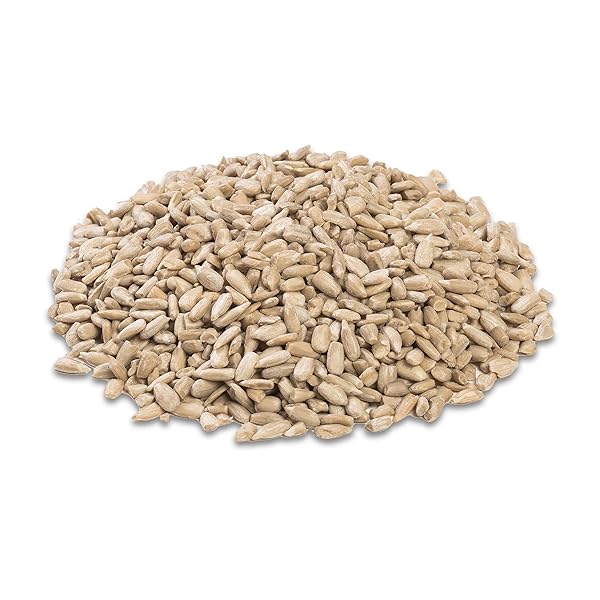 MORNING SONG SUNFLOWER HEARTS & CHIPS WILD BIRD FOOD, NO MESS SUNFLOWER SEEDS FOR BIRDS, 5.5-POUND BAG