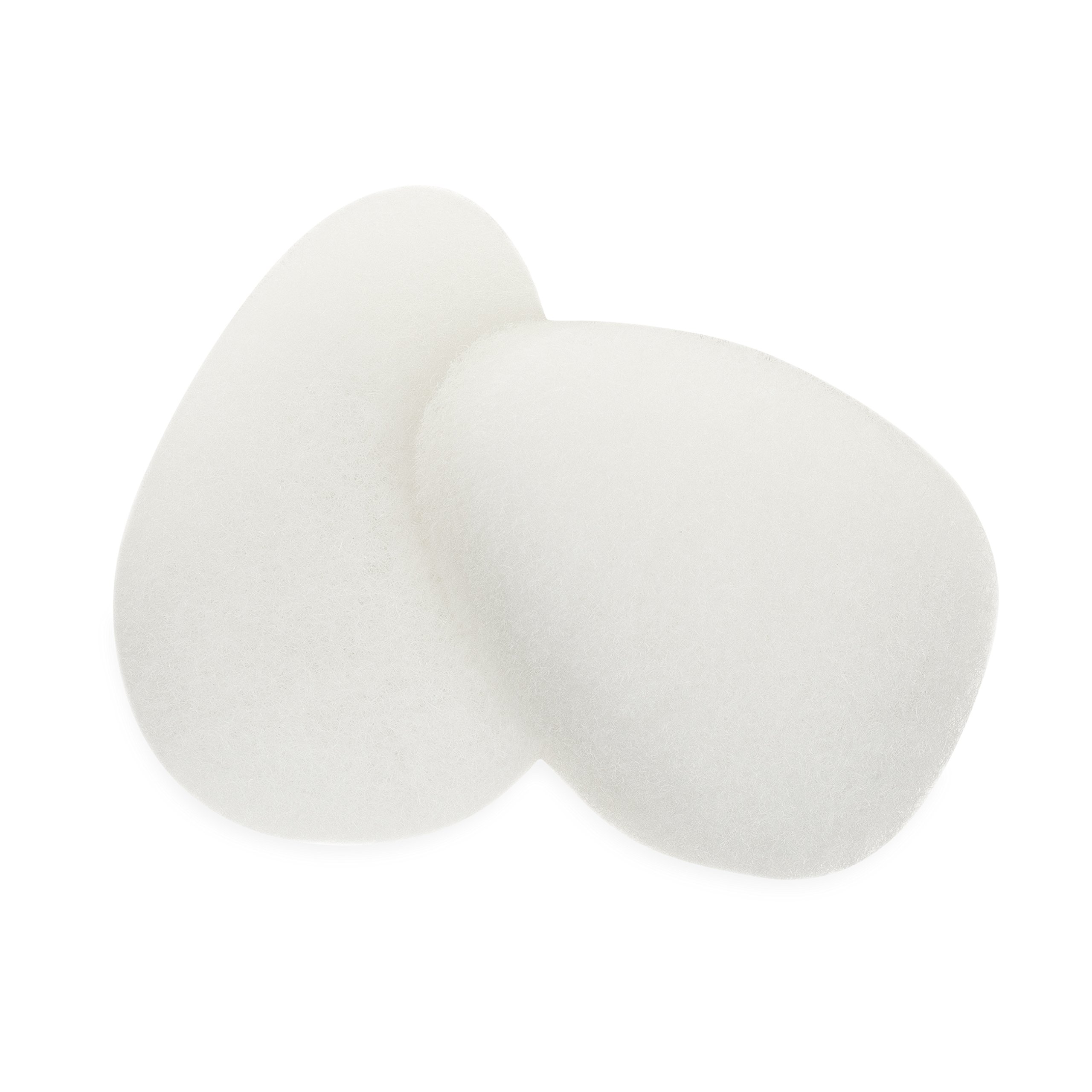 Body Benefits Exfoliating Facial Scrub Sponges, 0.03 Pound (Pack of 36