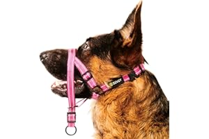 Zevey Adjustable Dog Head Halter with Safety Strap, Soft Padded Dog Head Collar for Small Medium Large Dogs, No-Pull Dog Harness for Training and Walking (X-Large, Pink)