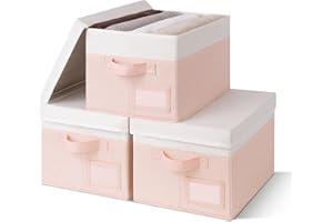 GRANNY SAYS Clothes Storage Bins with Lids, Pack of 3 Fabric Storage Boxes with Lid, Decorative Cloth Baskets Organization fo