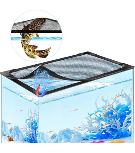 Amazon.com : Mamé Design Blame Overflow M : Pet Supplies