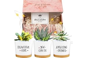 QCQHDU Birthday Gifts for Women,Bestfriend Gifts for Women,Unique Gift Ideas for Birthday,Inspirational Gifts for Women,Graduation Gifts, Plastic Succulent Pots with Gift Boxed (Beautiful Girl)