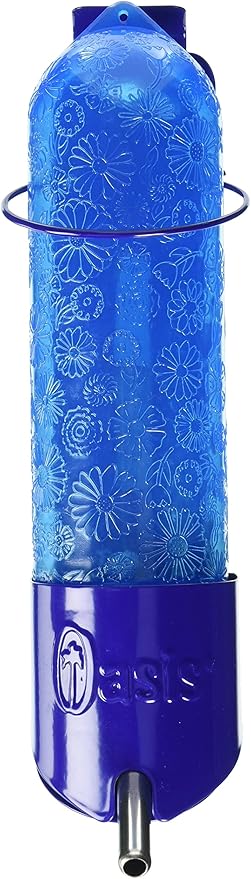 kordon oasis water bottle