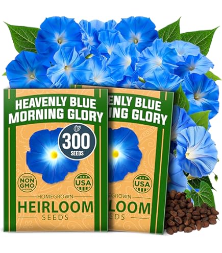HOME GROWN - ONE DAY / 3 seconds (7”) Amazon.com : HOME GROWN Wildflower & Morning Glory Seeds
