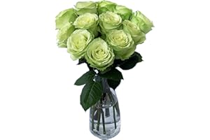 Farm Direct Fresh Green Roses | Flower Bouquet of 24 Fresh Roses + Vase Included - Flower Delivery