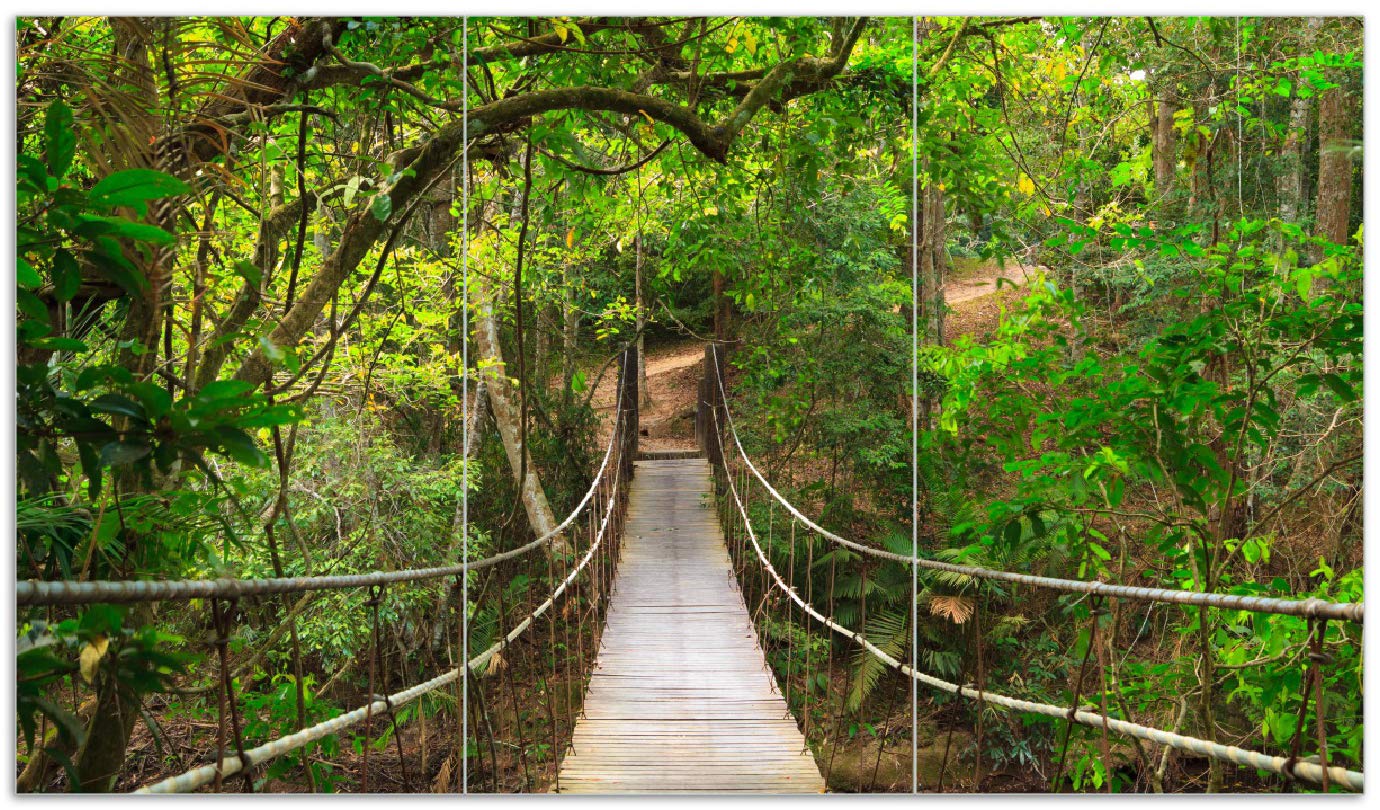 1-teilig für Ceran- und Induktionsherde 52x60cm Wallario