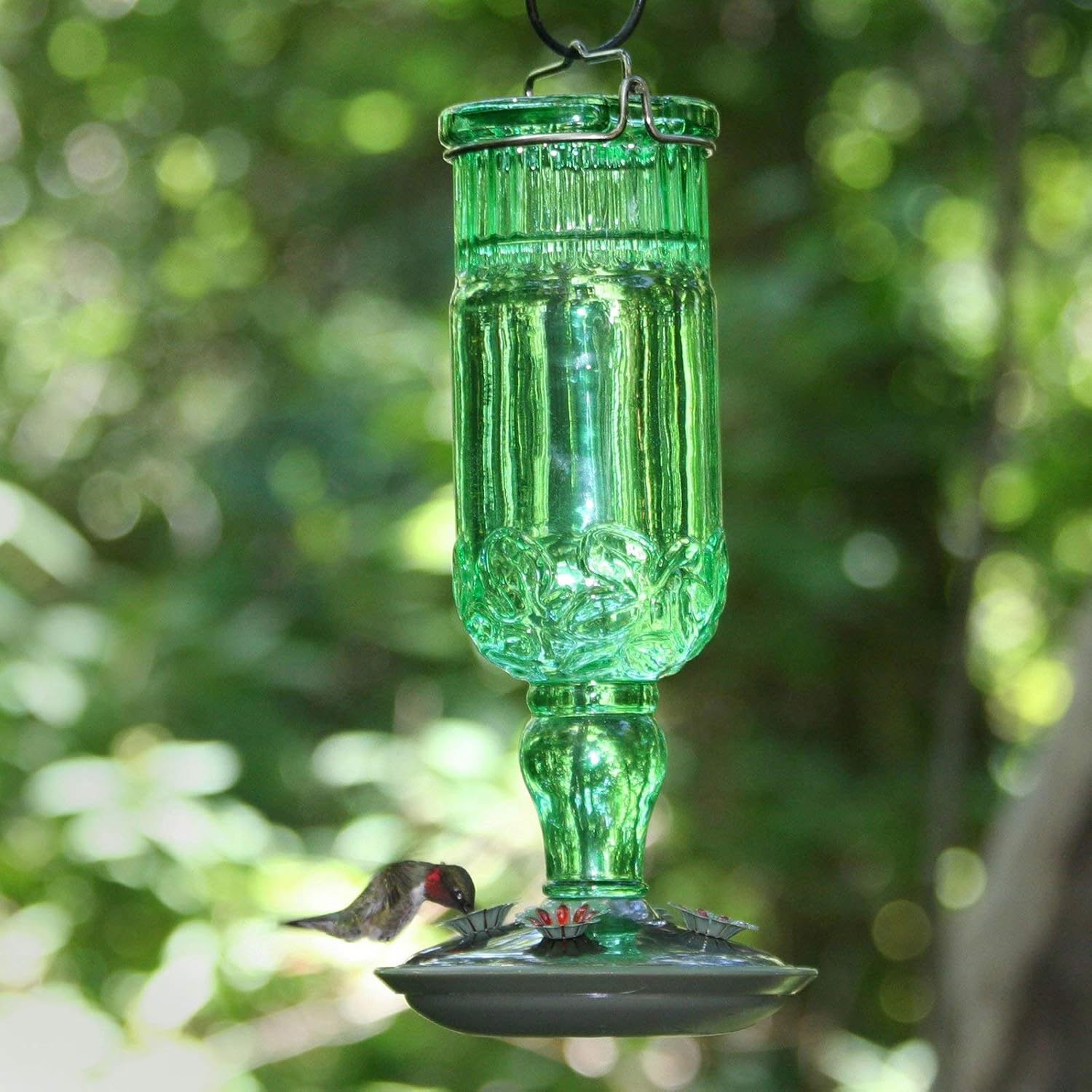 Amazon Com Perky Pet Green Antique Bottle Glass Hummingbird