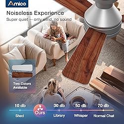 Amico Ceiling Fans with Lights, 42 inch Low Profile