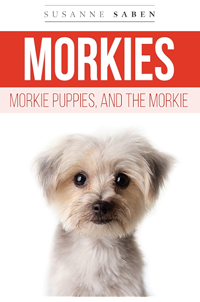 micro morkie puppies