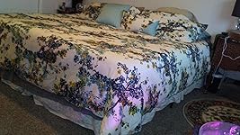 Review Image by Octogirl80 Octogirl80