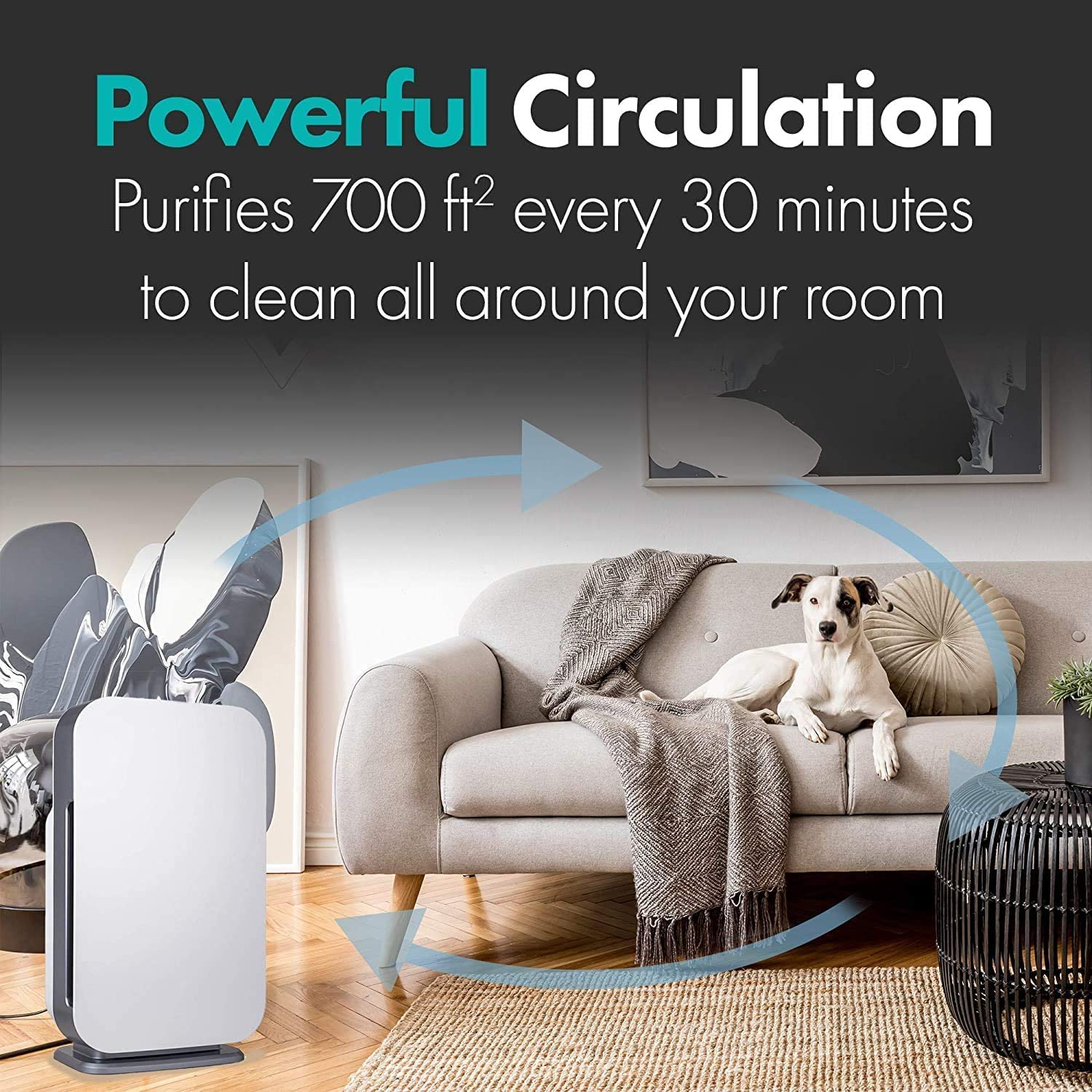 Alen Air Purifier BreatheSmart Flex HEPA with Fresh Filter + Carbon | 1400 Sq. Ft | Perfect for Bedrooms & Home Offices - Captures Allergens, Dust, & Mold + Household Odors & Smoke - White