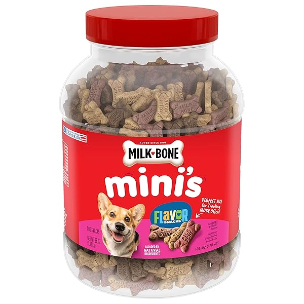 MILK-BONE MINI’S FLAVOR SNACKS DOG TREATS, 36 OUNCE