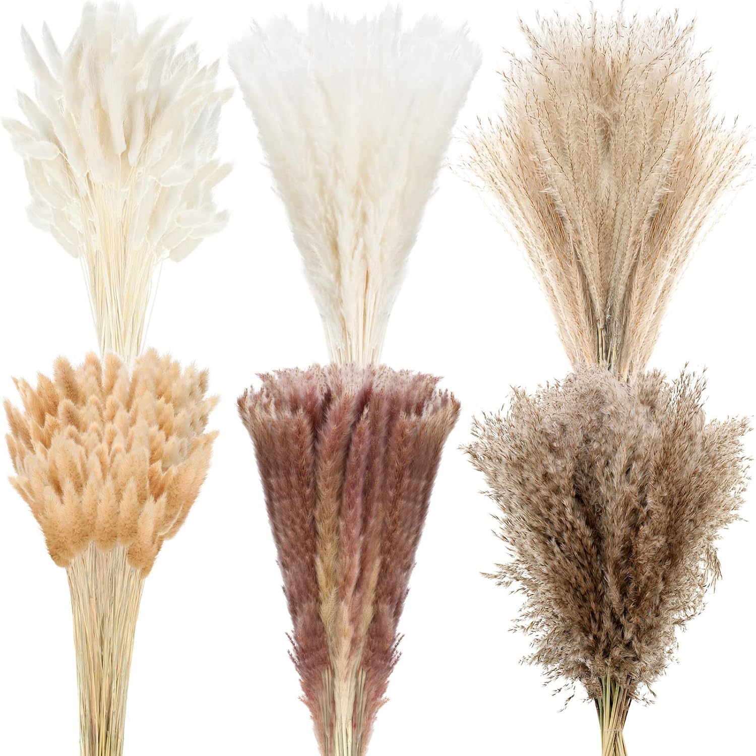 Dried & Preserved Flora - 650 Pcs Pampas Grass Decor Bulk Dried Bunny Tail 17