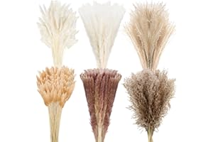 Treela 650 Pcs Dried Pampas Grass Decor Bulk 17" Dried Bunny Tail Fluffy Pompous Pampas Natural Reed Grass Bouquet Wedding Boho Dried Flowers for Home Table Party Decor(Classic)