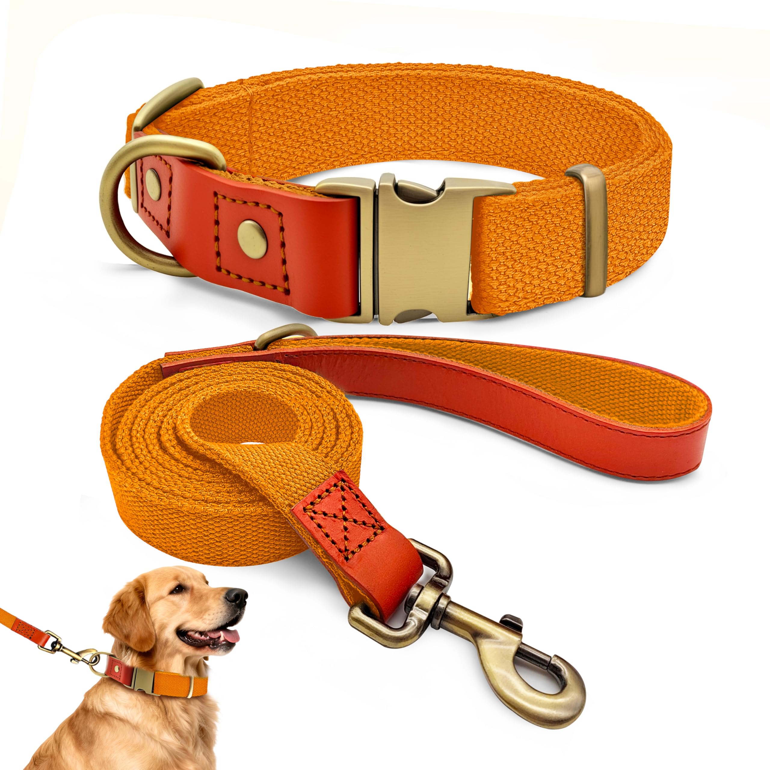 Qianruida Dog Collar and Lead Set, Adjustable Dog Collar and Lead for Small, Medium, Large Dogs, Orange, XL