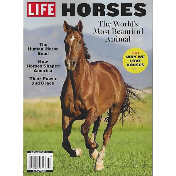 Life Horses Magazine Issue - 26 The World's Most Beautiful