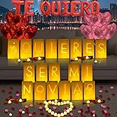 Quieres Ser Mi Novia Lighted Letters Sign 17pcs Luminary Paper Bags 2200pcs Red Pink Artificial Rose Petals 48pcs Flameless LED Candle Tealight 15pcs Heart Balloons Romantic Night Valentine's Day
