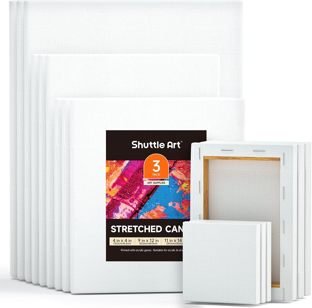 Shuttle Art Canvas 15 Multi Pack 4x4 5x7 8x10 9x12 11x14 Inches