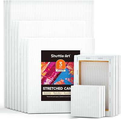 Shuttle Art Canvas 15 Multi Pack 4x4 5x7 8x10 9x12 11x14 Inches