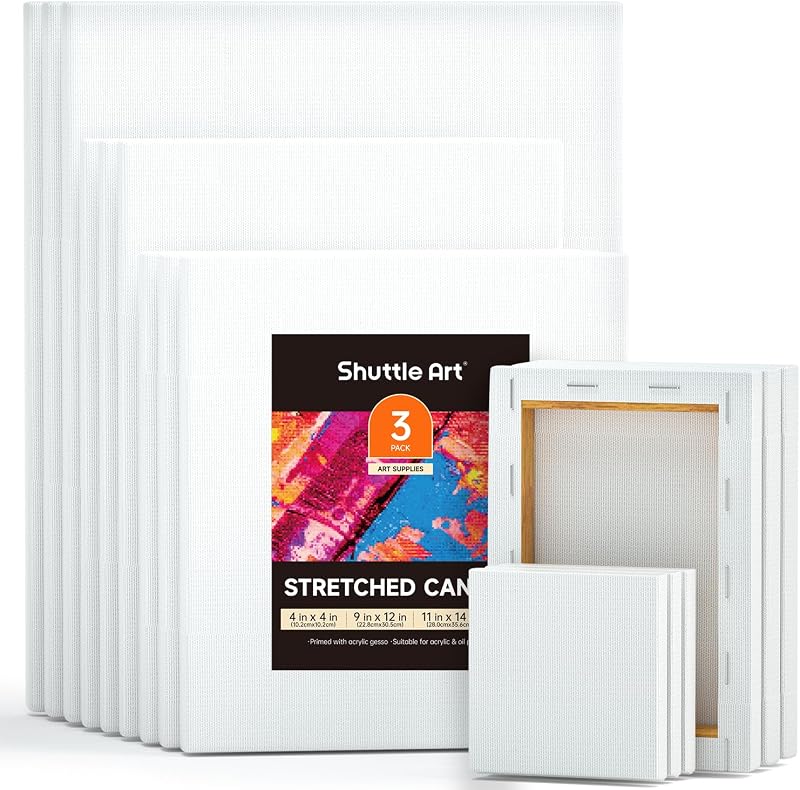 Shuttle Art Canvas 15 Multi Pack 4x4 5x7 8x10 9x12 11x14 Inches
