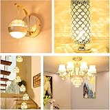 Caldarax 12 Pack G9 Halogen Bulbs 28W 2700K Dimmable 230V 320LM view 4