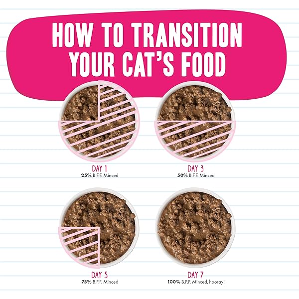 WERUVA BFF MINCED NATURAL WET CAT FOOD, BIG FELINE FEAST VARIETY PACK, 10OZ CAN, PACK OF 12