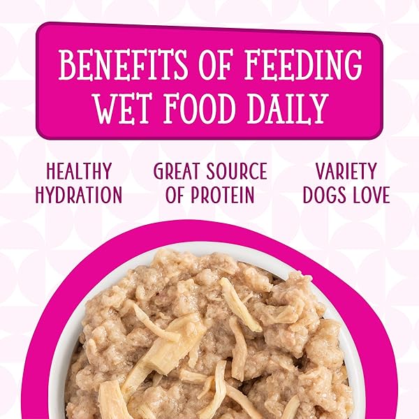 WERUVA DOGS IN THE KITCHEN, FOWL BALL WITH CHICKEN BREAST & TURKEY AU JUS DOG FOOD, 10OZ CAN (PACK OF 12)