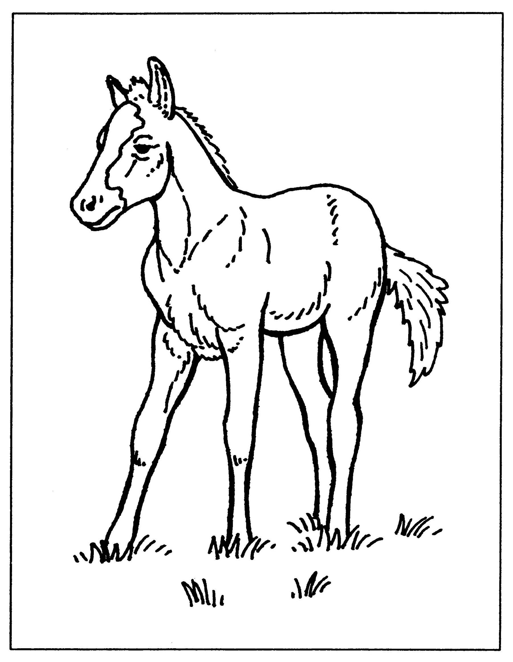 Printable Farm Animal Coloring Pages For Adults Printable Coloring