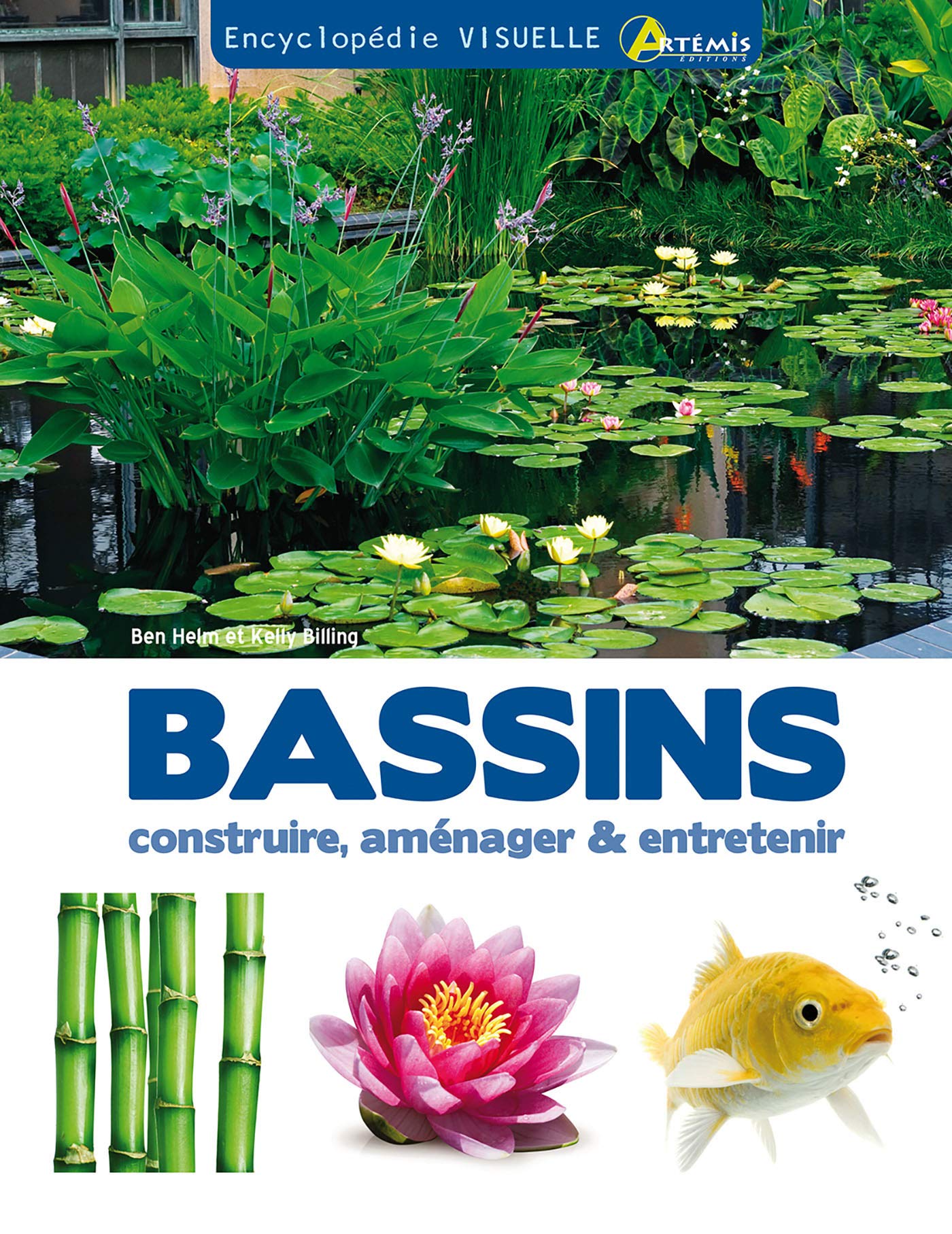 Amazon Fr Encyclopedie Visuelle Des Bassins Helm Ben Billing Kelly Delvaux Catherine Livres