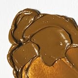 Winsor & Newton Winton 200ml Oil Colour Raw Sienna view 2