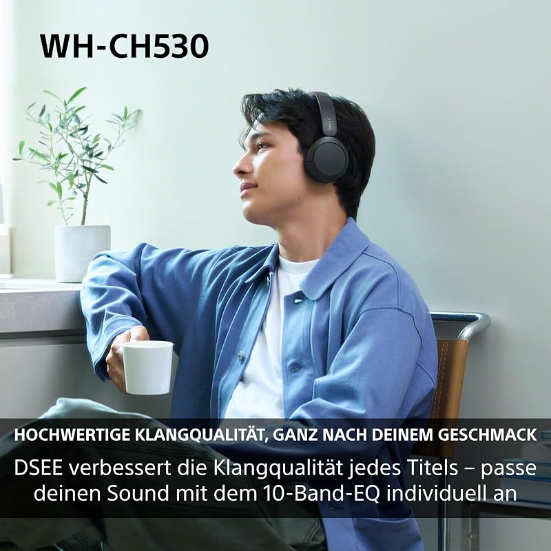 WH-CH530 Kabellose Bluetooth Kopfhörer - Weiß