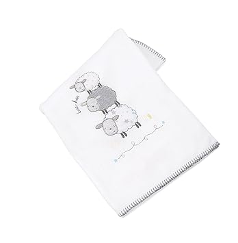 silver cloud counting sheep