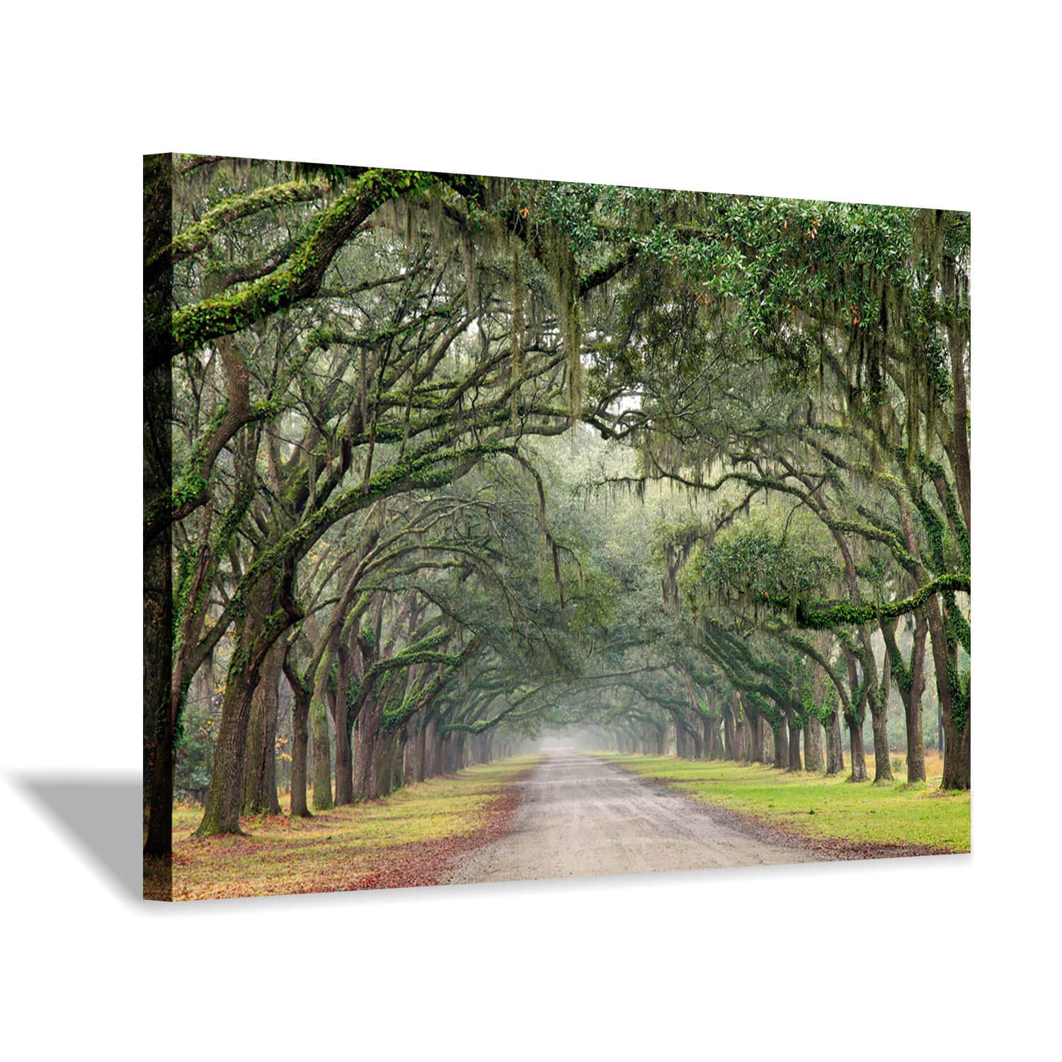 Green Oak Trees Art Painting: Landscape Artwork Forest Picture Print on ...