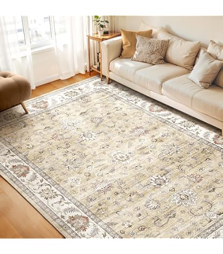 Amazon.com: 2x4 Washable Entry Area Rugs Doormat: Non Slip Rubber