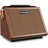 Flatsons Crush20 20W Rechargeable Acoustic Guitar Amp | 6.35mm Mic &amp; Acoustic Guitar Dual Input, Reverb, 2-Band EQ, 8H Battery Life, Advanced Dual-Chip Wireless Portable Speaker