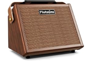 Flatsons Crush20 Acoustic Guitar Amp, 20W Mic/Guitar Amplifier with Reverb, 2-Band EQ, Rechargeable 8H Battery Life, Advanced Dual-chip Wireless Portable Speaker for 6.35mm Microphone/Acoustic Guitars