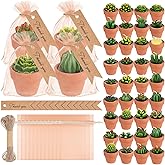 MTLEE 48 Pcs Succulent Tealight Candles - Wedding Party Baby Shower Valentines Gifts Birthday Pack with Terracotta Pot, Organza Bag, Tags, Twines